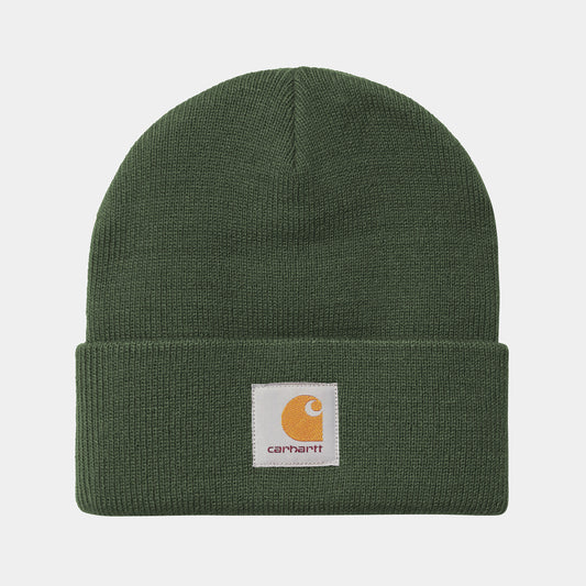 Carhartt - Short Watch Hat Sycamore Tree